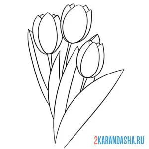 Раскраска свежие тюльпаны онлайн