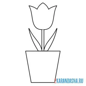 Раскраска тюльпан в горшке онлайн