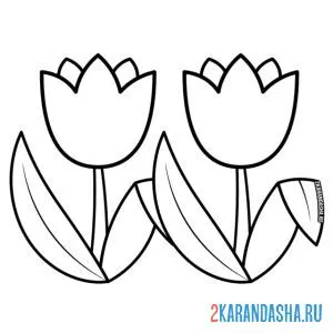 Раскраска два тюльпана рядом онлайн