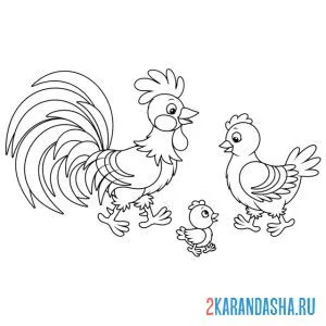 Распечатать раскраску папа петух, мама курица и цыпленок на А4