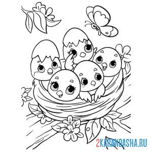 Раскраска много птенчиков в гнезде онлайн