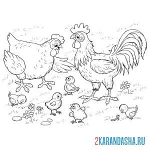Раскраска семья петух, курица и цыплята онлайн