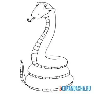 Раскраска большая змея онлайн