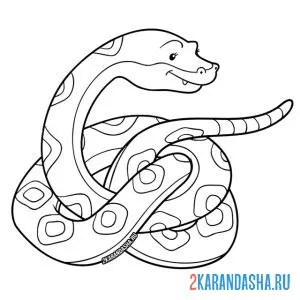 Раскраска питон змея онлайн