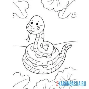 Раскраска удав змея онлайн