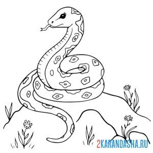 Раскраска змея на горе онлайн