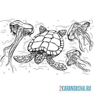 Распечатать раскраску морские черепахи и медузы на А4