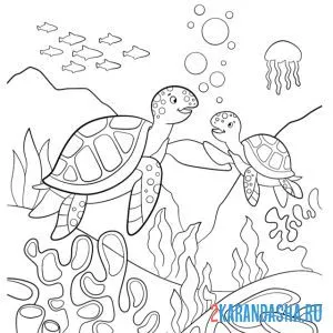 Распечатать раскраску морской мир с черепашками на А4