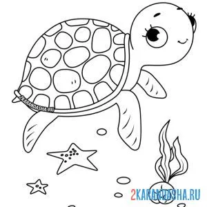 Распечатать раскраску черепаха и морские звезды на А4