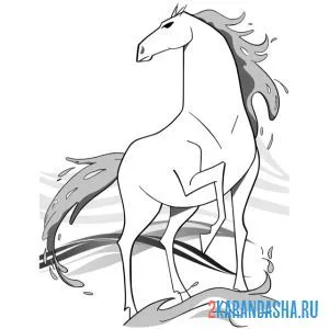 Раскраска конь нокк онлайн