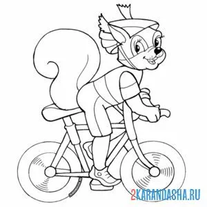 Раскраска белочка на велосипеде онлайн