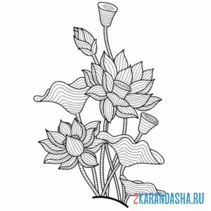 Раскраска лотос цветок антистресс онлайн
