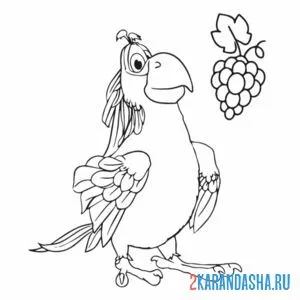Раскраска гуга попугай онлайн