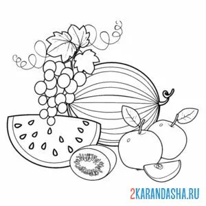 Распечатать раскраску фрукты арбуз, киви, виноград на А4