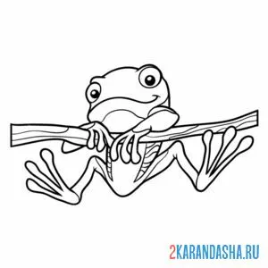 Раскраска лягушка на ветке онлайн