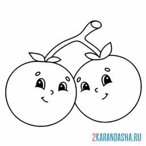 Раскраска две помидоры на ветке онлайн
