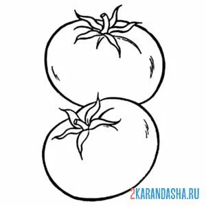 Раскраска два томата (помидора) онлайн
