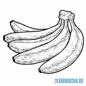 Распечатать раскраску связка спелых бананов на А4