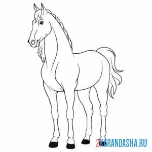 Раскраска статный конь лошадь онлайн
