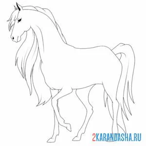 Раскраска статная лошадь онлайн