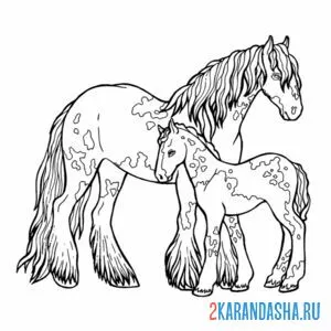 Раскраска мама лошадь и жеребенок онлайн