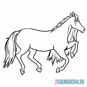 Раскраска простая лошадь онлайн