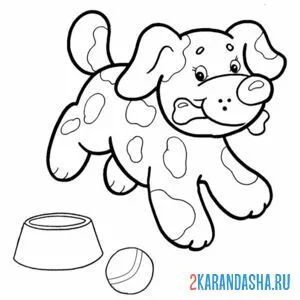Раскраска собака с косточкой в зубах онлайн