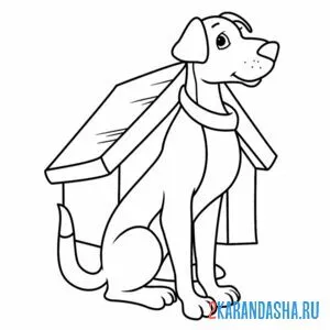 Раскраска умная собака у будки онлайн