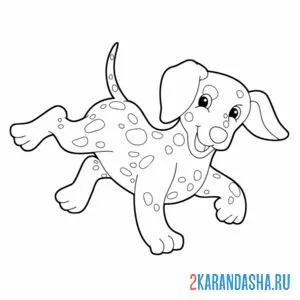 Раскраска собака далматин (далматинец) онлайн