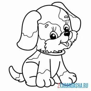 Раскраска щеночек собака в ошейнике онлайн