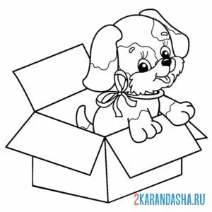 Раскраска собачка в коробке онлайн