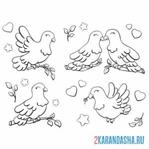 Раскраска много голубей онлайн