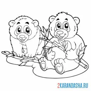 Раскраска две панды онлайн