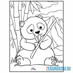 Распечатать раскраску панда в лесу на А4