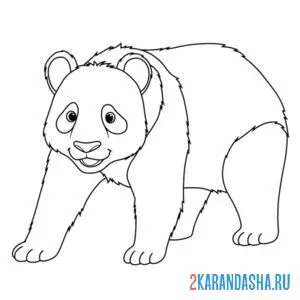 Распечатать раскраску большая панда на А4