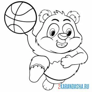 Распечатать раскраску панда баскетболист на А4
