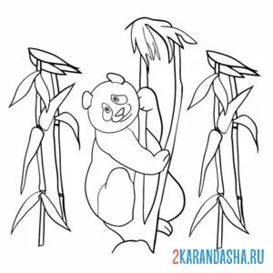 Распечатать раскраску панда на бамбуке на А4