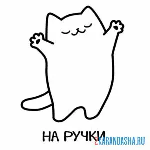 Раскраска мем котик на ручки онлайн