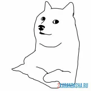 Раскраска мем собака онлайн