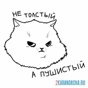 Раскраска мем пушистый кот онлайн