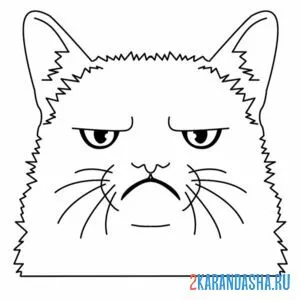 Раскраска грустный кот мем онлайн