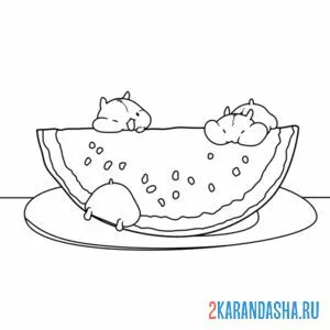 Раскраска хомяки едят арбуз онлайн