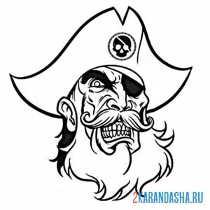 Раскраска злой пират онлайн
