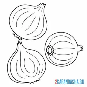 Раскраска три луковицы онлайн