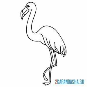 Раскраска фламинго на одной лапке онлайн