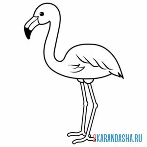 Раскраска небольшой фламинго онлайн