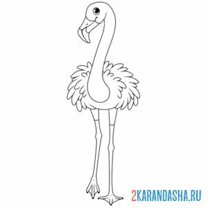 Раскраска фламинго прямо онлайн