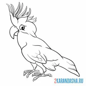 Раскраска какаду попугай онлайн