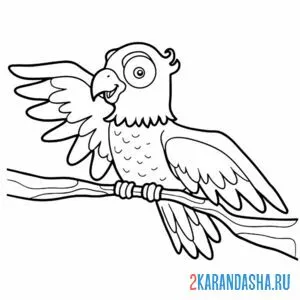 Раскраска попугай с крылом онлайн