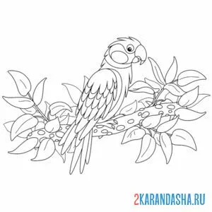 Раскраска попугай ара на ветке онлайн